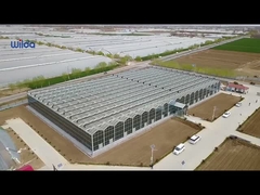 دفيئة زجاجية