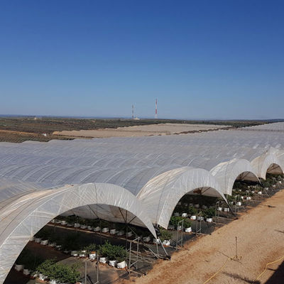 Blueberry PE Film Poly Tunnel Greenhouse Anti Ultraviolet