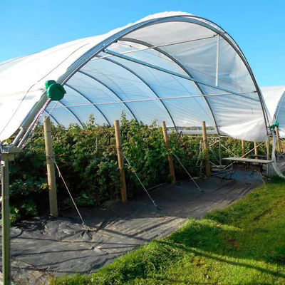 Blueberry PE Film Poly Tunnel Greenhouse Anti Ultraviolet